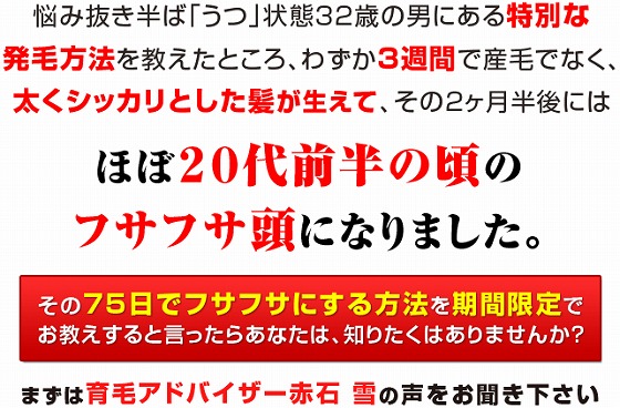 悩み抜き半ば「うつ」状態32歳の男にある特別な発毛方法を教えたところ、わずか3週間で産毛ではなく、太くシッカリとした髪が生えて、その2ヶ月半後にはほぼ20台前半の頃のフサフサ頭になりました。その75日でフサフサにする方法を期間限定で教えすると言ったらあなたは、知りたくありませんか?まずは育毛アドバイザー赤石雪の声をお聞きください 悩み抜き半ば「うつ」状態32歳の男にある特別な発毛方法を教えたところ、わずか3週間で産毛ではなく、太くシッカリとした髪が生えて、その2ヶ月半後にはほぼ20台前半の頃のフサフサ頭になりました。その75日でフサフサにする方法を期間限定で教えすると言ったらあなたは、知りたくありませんか?まずは育毛アドバイザー赤石雪の声をお聞きください